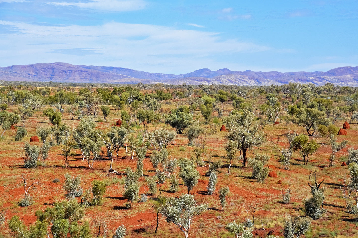 Red Earth - Oil Painting