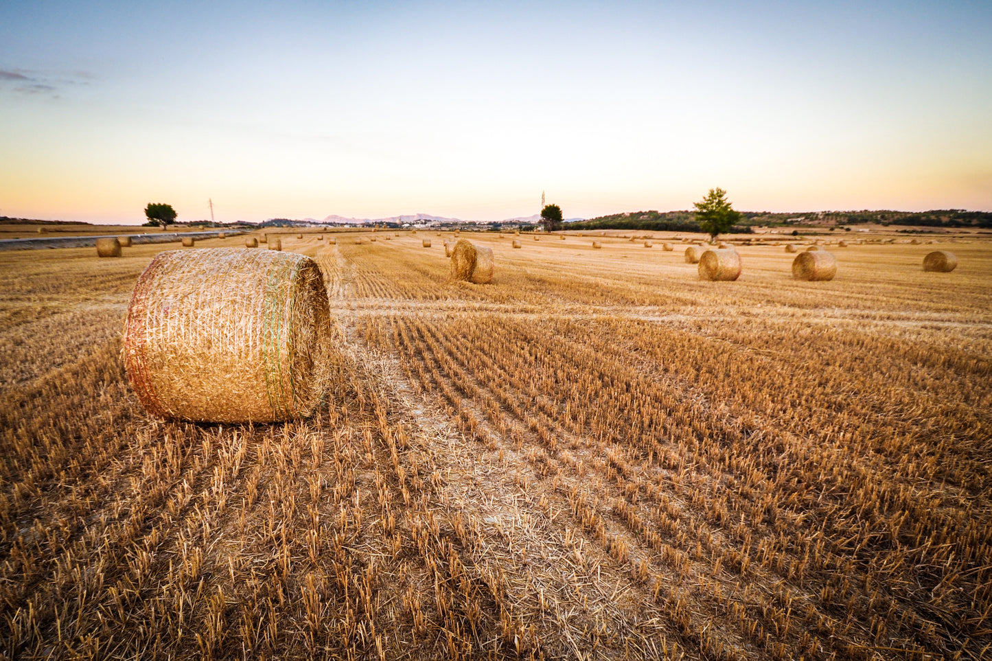 By The Bale - Oil Painting